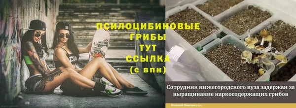 ешки Арсеньев